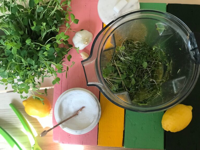 Simplest Ever Chimichurri Microgreens Sauce Recipe
