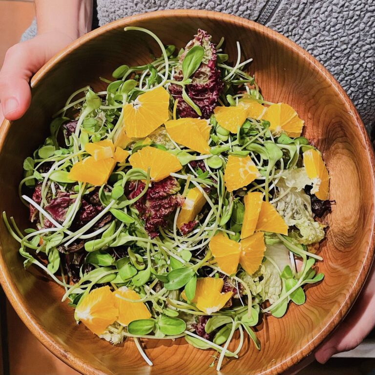 sunflower shoots salad