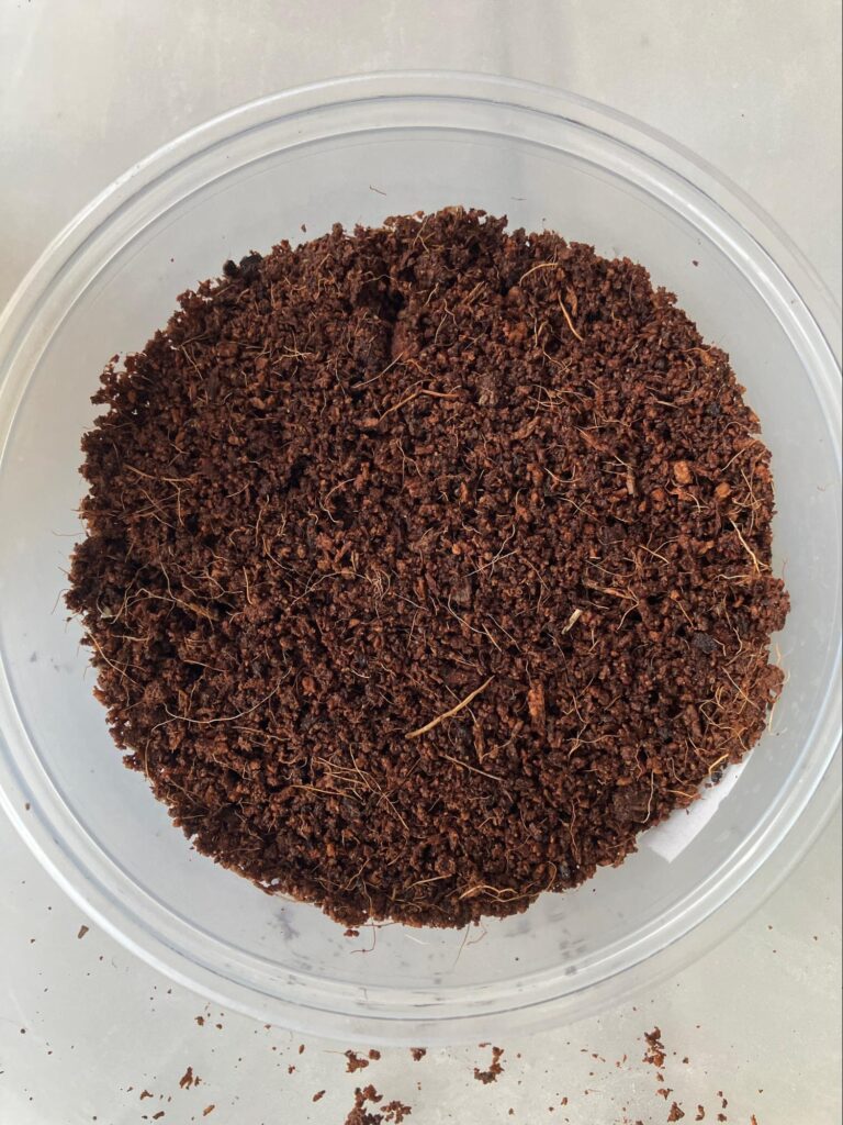 Coco Coir in an 8oz deli container with surfact flattened