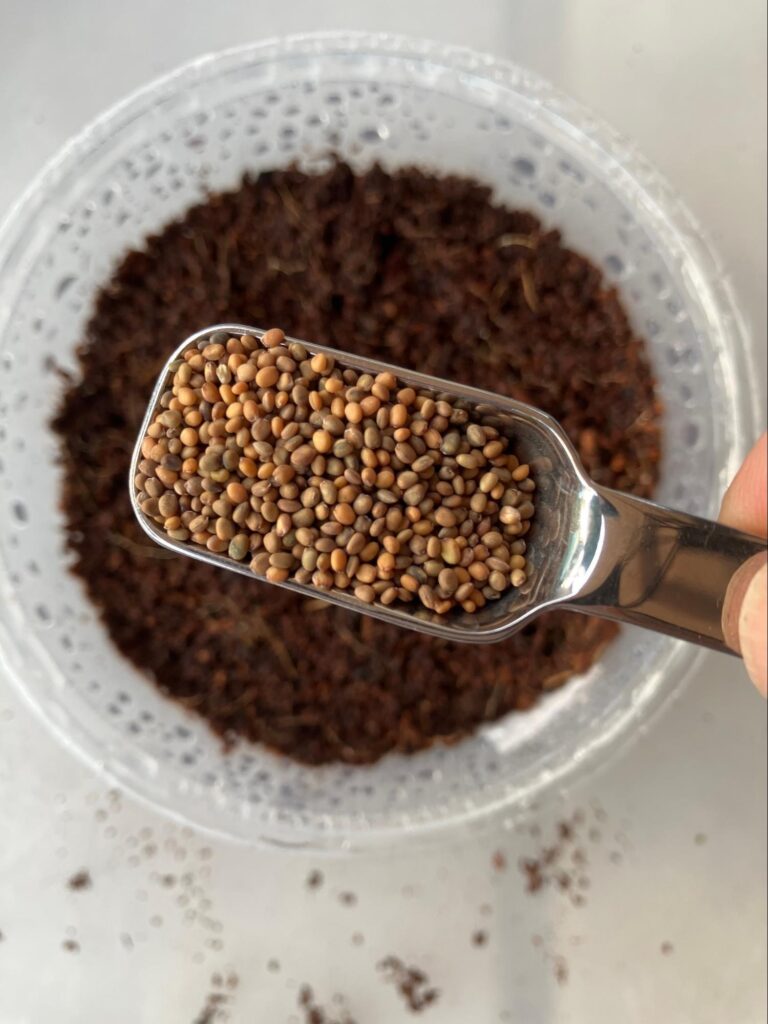 Heaping 3/4 Teaspoon filled with Arugula Microgreens Seeds