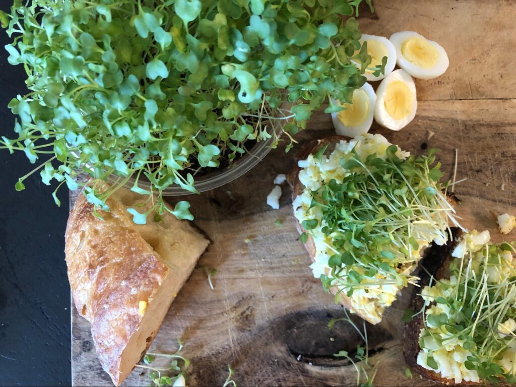 Micro broccoli tray and egg salad on toast