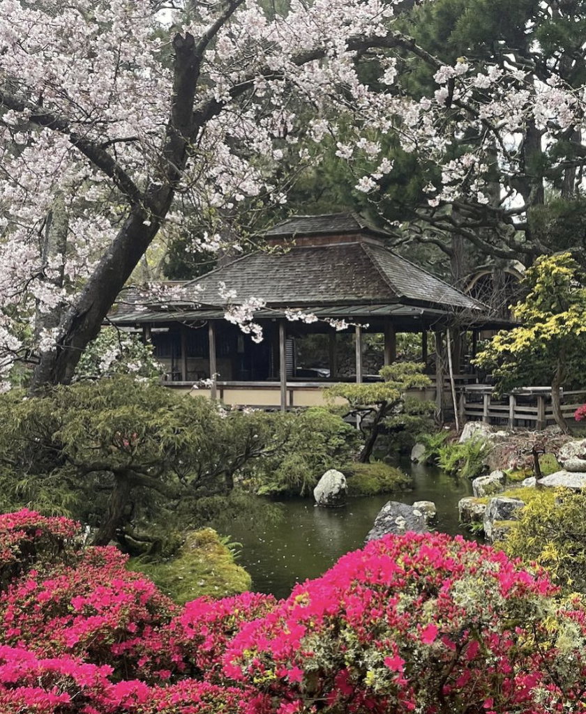 Japanese Tea Garden in Golden Gate Park