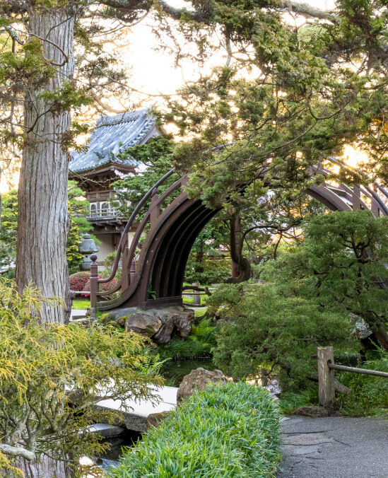 Bridge in the Japanese Tea Garden in Golden Gate Park