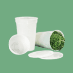 The Only Supplies You Really Need to Grow Microgreens at Home