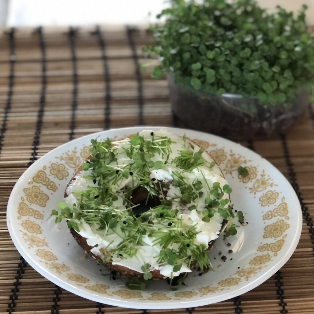 Half a bagel topped with cream cheese and broccoli microgreens on vintage pyrex plate