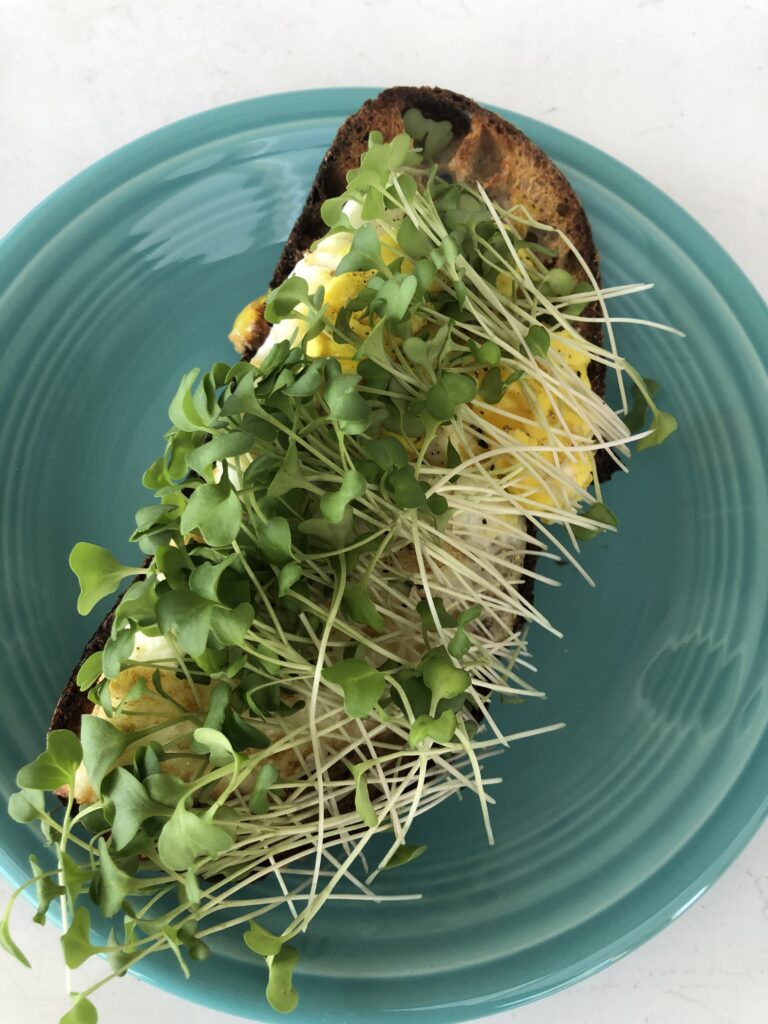 Toast with scrambled eggs and broccoli microgreens