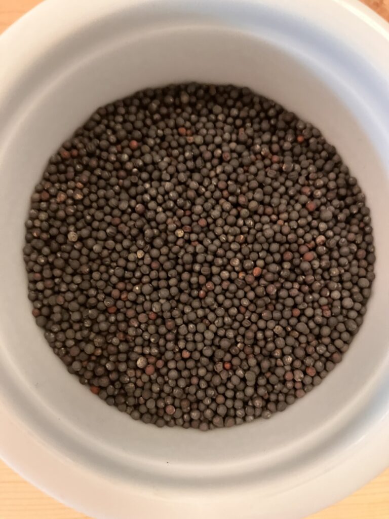 Kale seeds