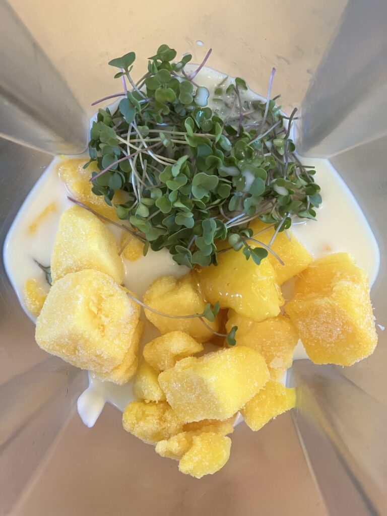 Mango Lassi Ingredients in blender