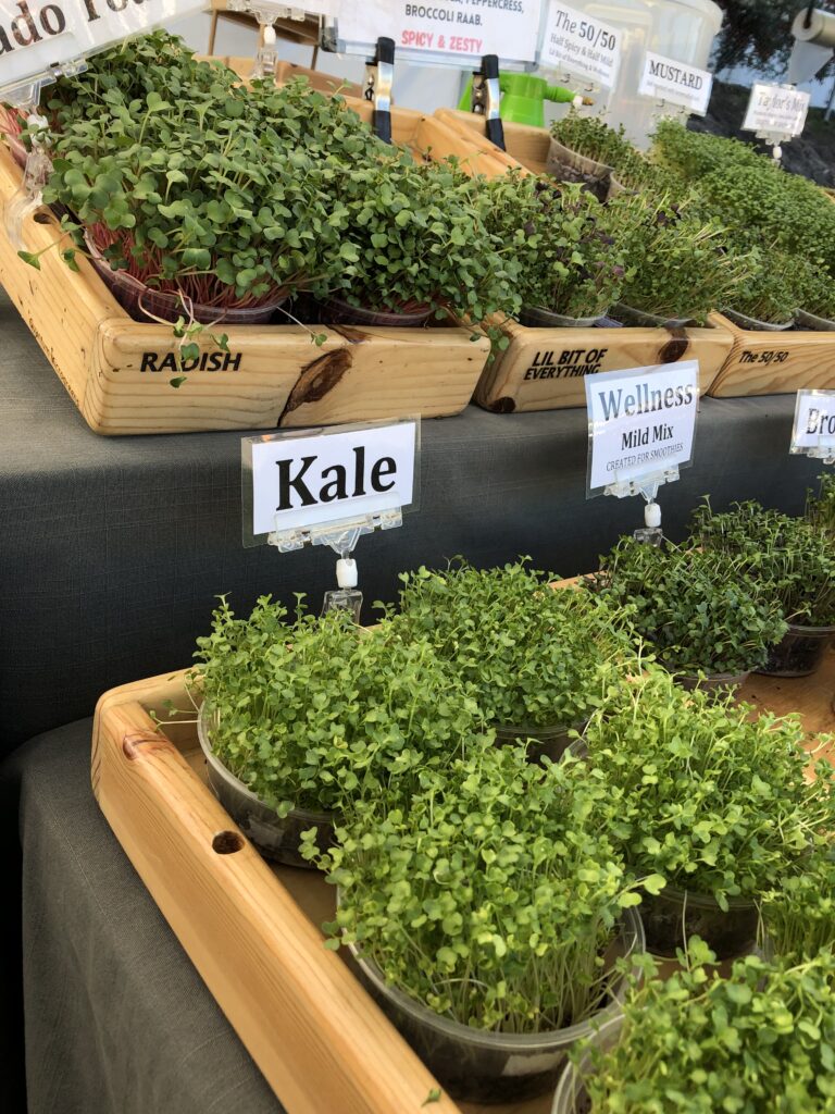 Kale Microgreens displayed in a wood tray