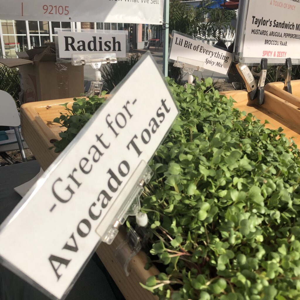 Image of radish microgreens being sold at a farmers market